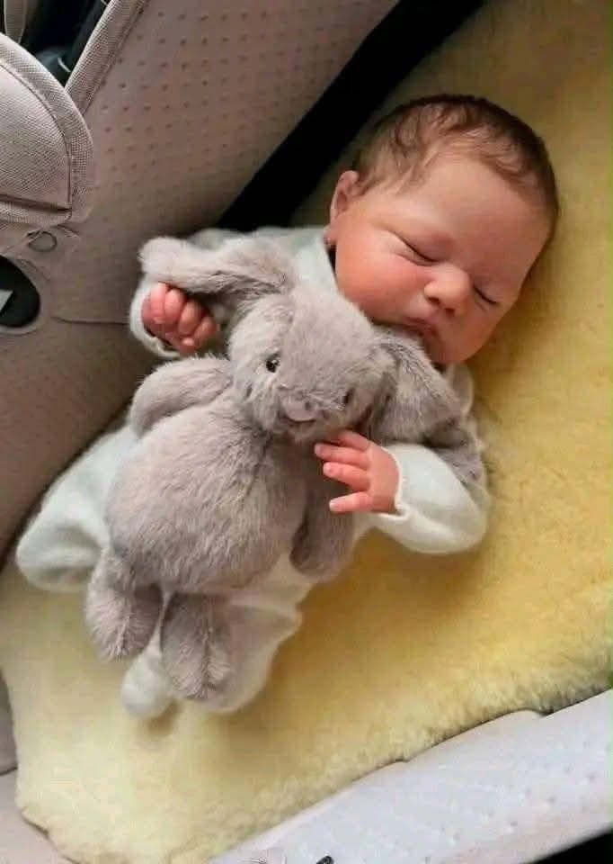 Lucas Daniel