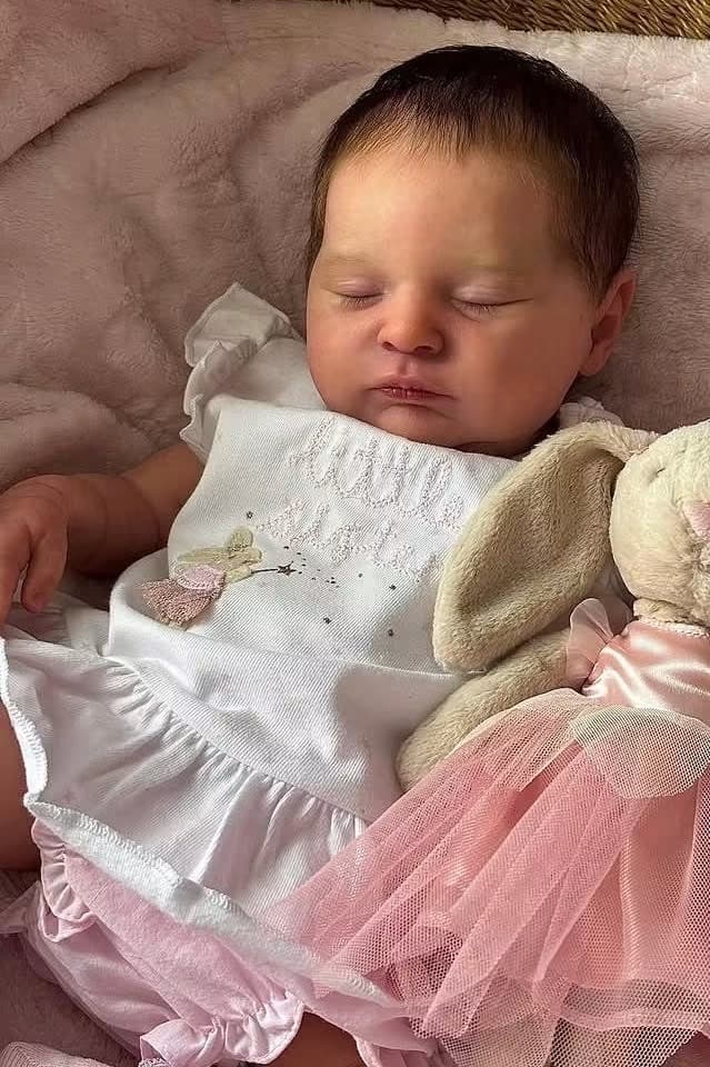 Stella Queen - Image 1